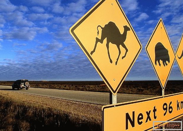 Австралискиот патен знак предупредува дека разни животни можат да трчаат по патот.