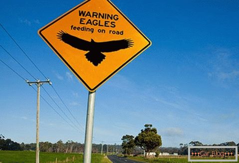 Предупредување за можноста да наидете на орлите на патот