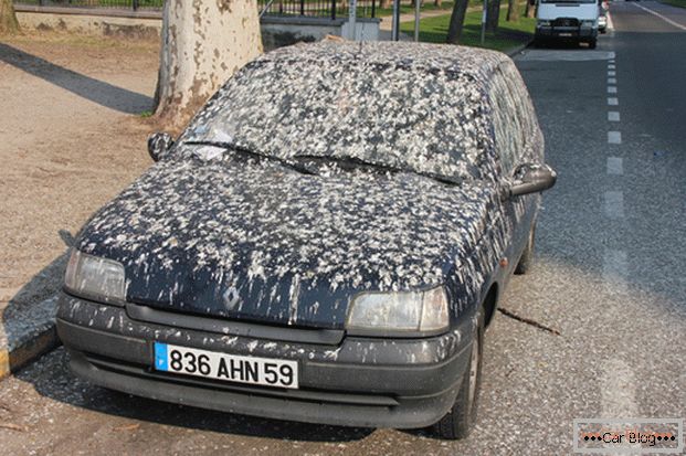 Птичји измет на телото на автомобилот - за отпад